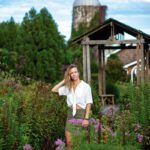 lavender fields photography