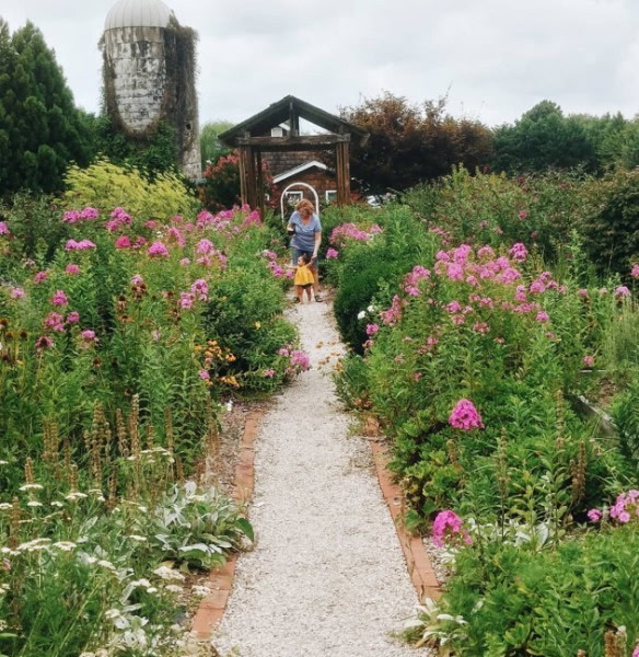 Lavender Fields garden pathway